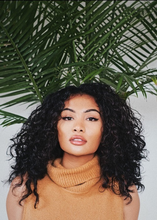 Model